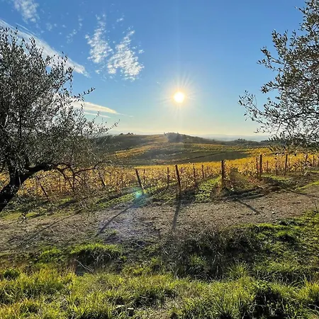 1 Bedroom Beautiful In Il Ferrone